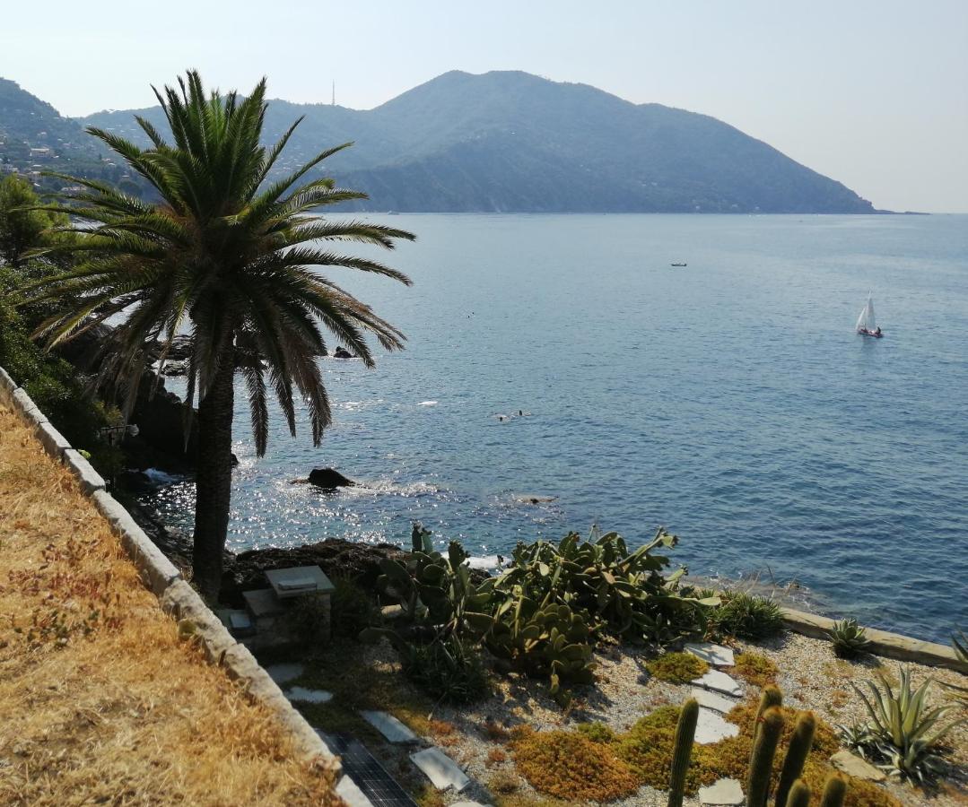 Apartament Il Grecale Recco Zewnętrze zdjęcie